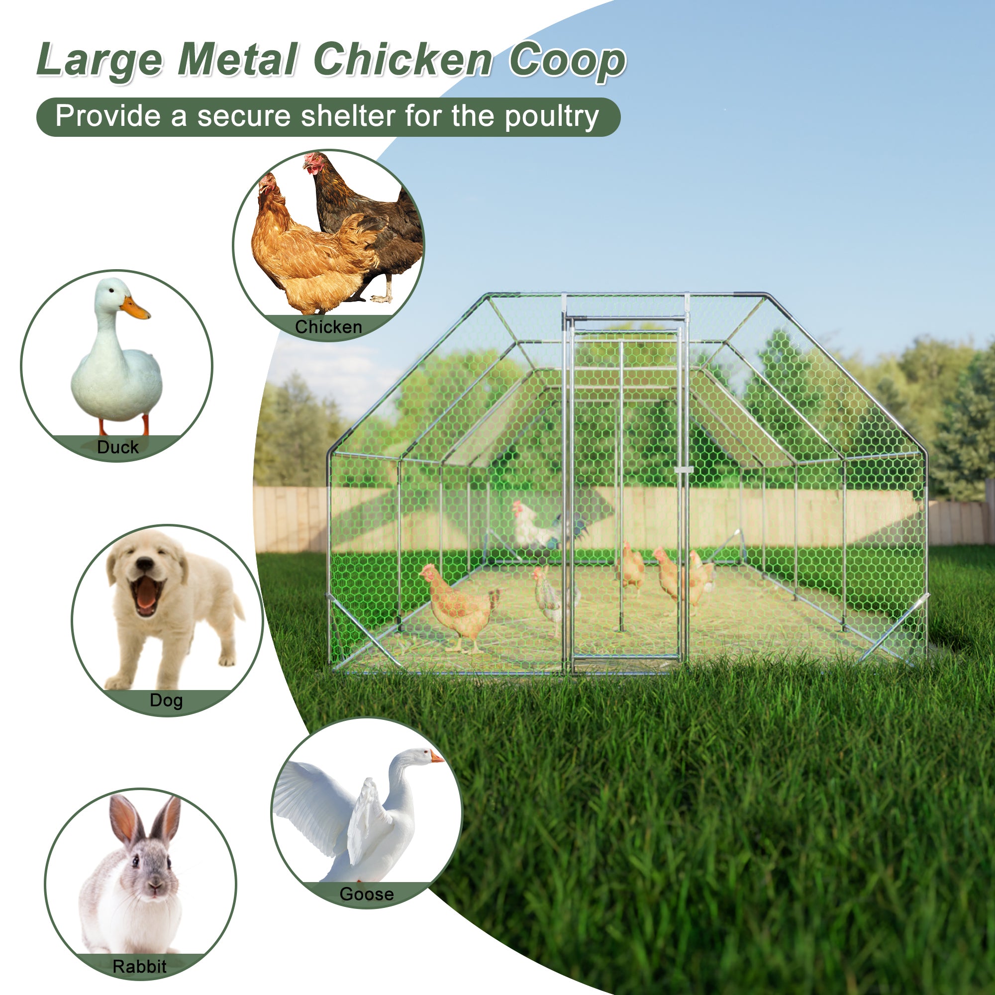 THANADDO 10.ft x 26.ft Metal Chicken Coop & Run with Flat Roof FR38